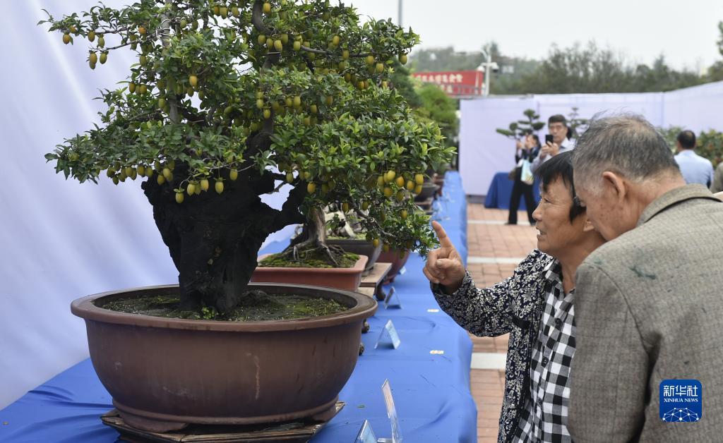 送彩金58满100提现